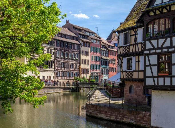 Le Cocon - Proche Gare - Lumineux & Centre Ville - Commerces A Proximite Strazburg Dış mekan fotoğraf